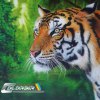 Tiger-Airbrush-Malerie-Tierportrait_4c